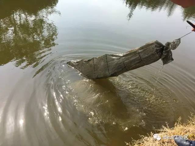 嘉定最新野钓地,科技与自然融合,垂钓新纪元开启