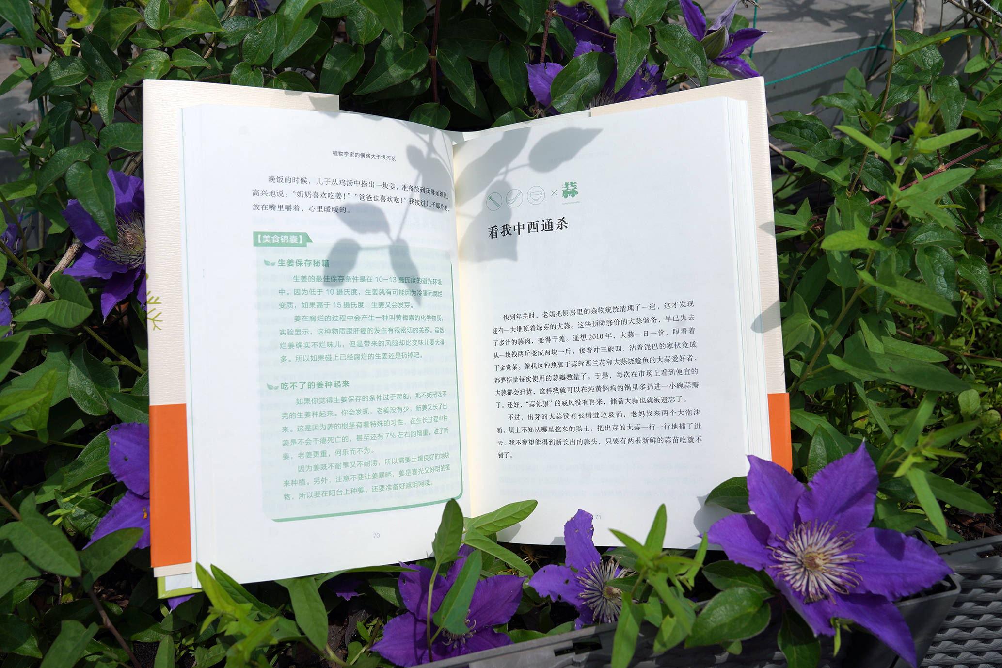 吹膜环评 第273页
