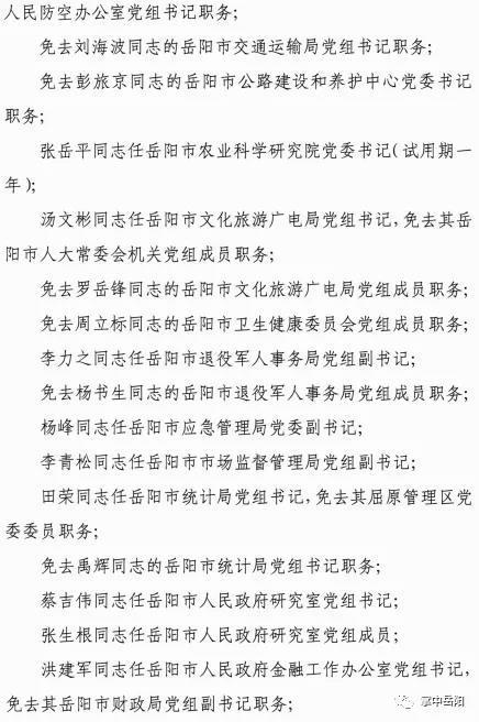 岳阳政府人事大调整,科技引领未来,智能管理新篇章开启