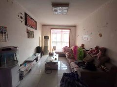 文安最新二手房急售现象,市场背景与影响分析