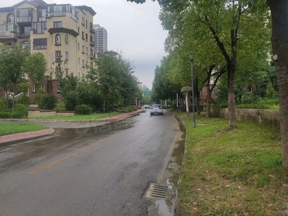 加州玫瑰园最新消息,加州玫瑰园最新消息