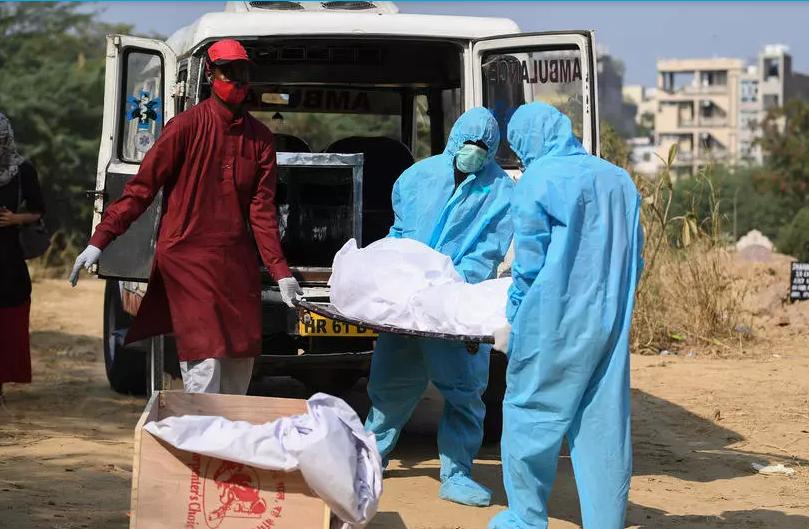 国内新冠最新死亡人数统计更新🌸