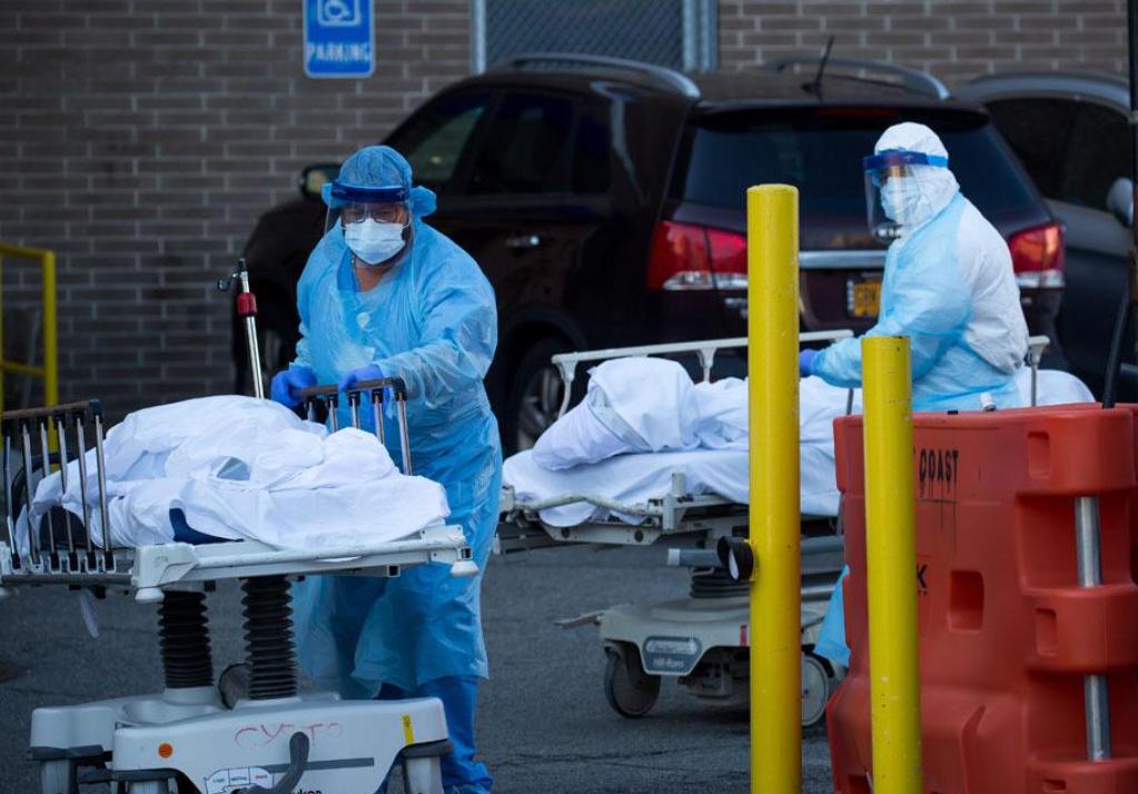 全球疫情最新数据与科技新品重塑抗疫体验,引领未来生活新纪元