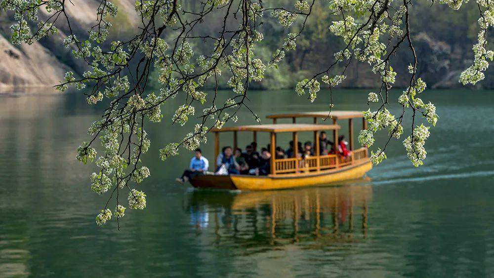 最新放假信息发布通知