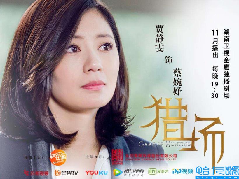 猎场电视剧演员阵容深度解析及表现探讨