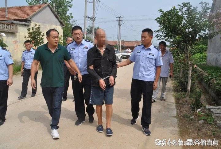 莒南最新案件，法律视角的深入分析与探讨