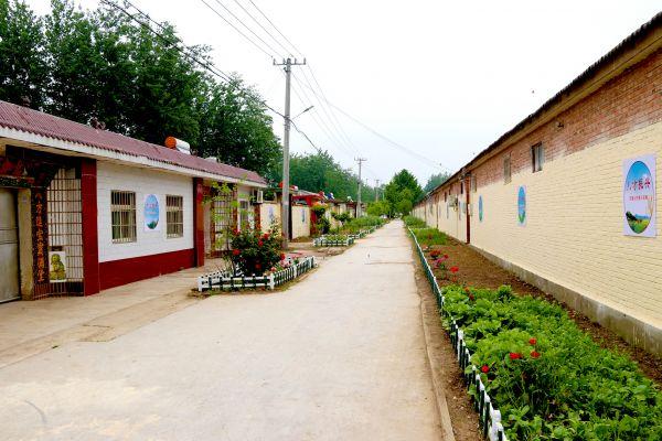 龙泉驿区西河最新招聘信息及其背景与影响分析