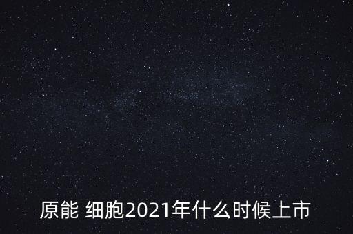 原能细胞上市，小巷中的神秘宝藏探索，特色小店的未知之旅