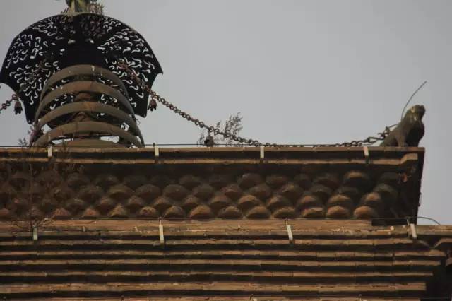 武陟妙乐寺最新动态，古寺展现新章，温情流淌之中