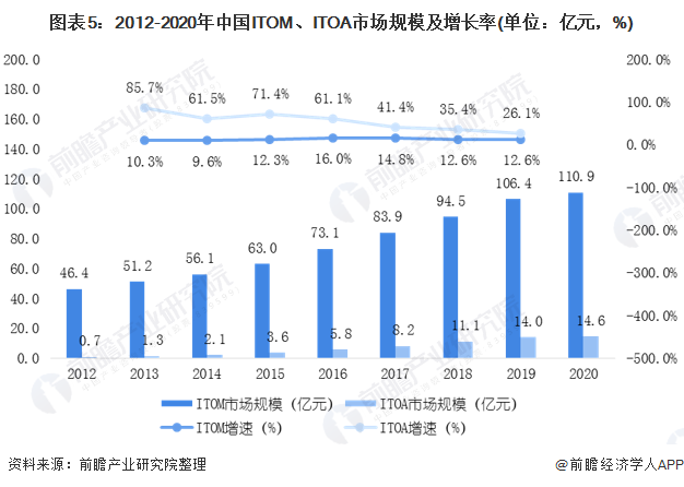 胡萝卜的未来之路，2025年行情预测与成长展望