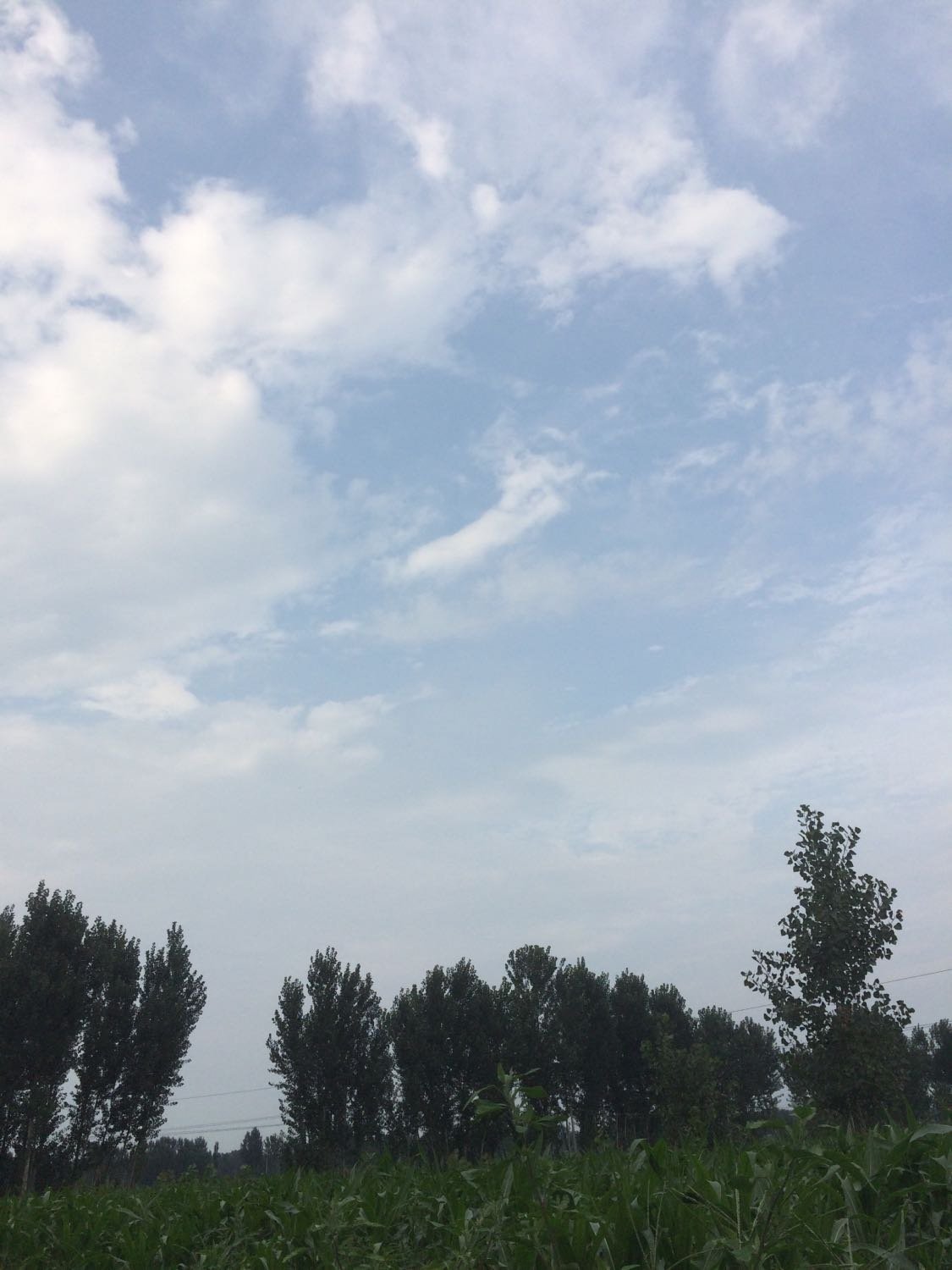 辛集最新天气预报，多变阳光照亮学习之路