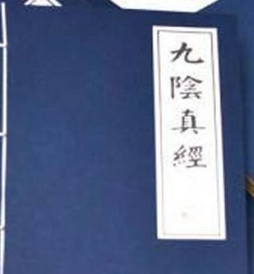 九阳九真最新章节深度探讨与解析