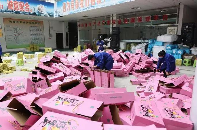 贵州鸡蛋价格最新行情及分析报告