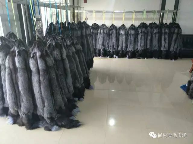 尚村水貂皮毛最新价格，与自然美景的邂逅与内心平和宁静的追寻