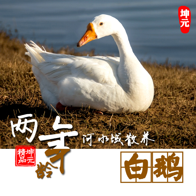 经典美食老鹅的演变与探索之路