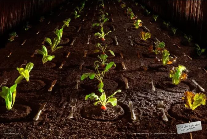 最新鲜自然之旅,一场绝美风景的沉浸式体验