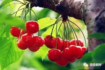 最新鲜自然之旅,一场绝美风景的沉浸式体验