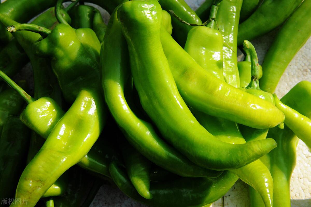 最新菜花行情与小巷美食探秘