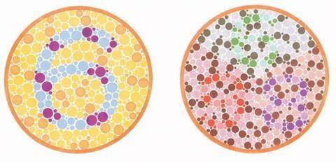 色盲图的最新进展与影响,视觉挑战的时代背景分析