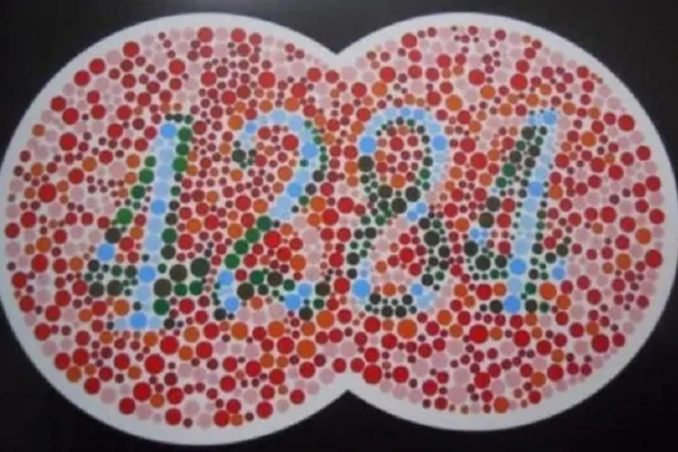 色盲图的最新进展与影响,视觉挑战的时代背景分析