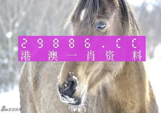 澳门一肖一码100准最准一肖_,系统评估分析_VFE50.450强劲版