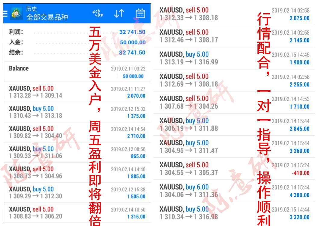 新奥天天彩精准资料大全查询,互动性策略设计_CZE29.460养生版