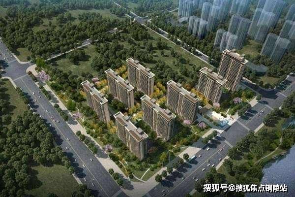 中央名都最新动态大全，全面指南与步骤详解
