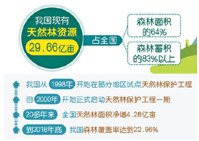 金多宝论坛一码资料大全,稳健设计策略_IWQ29.941天然版