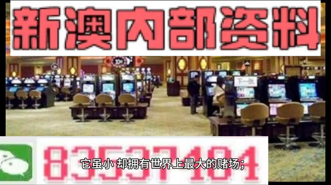 2024新澳精准资料免费提供,澳门内部,数据引导执行策略_WJT29.589收藏版