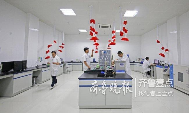 山东济宁最新招聘信息及热门职位汇总