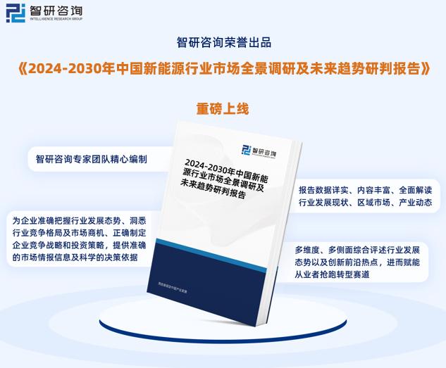 2024新奥资料免费精准175,访问安全方案解析_GCK29.424多功能版