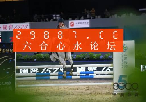 王中王一肖一特一中,执行验证计划_PTR29.2641440p