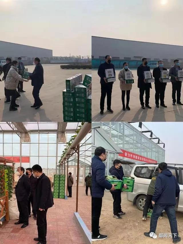 高邑蔬菜批发市场最新价格行情概览