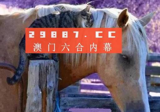 2024澳门六肖资料,实地观察解释定义_SBL49.712家居版