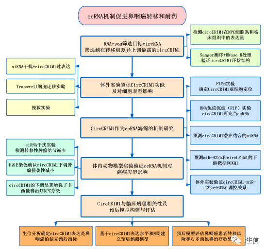 港澳大联盟资料大全,机制评估方案_JIN49.627可靠版
