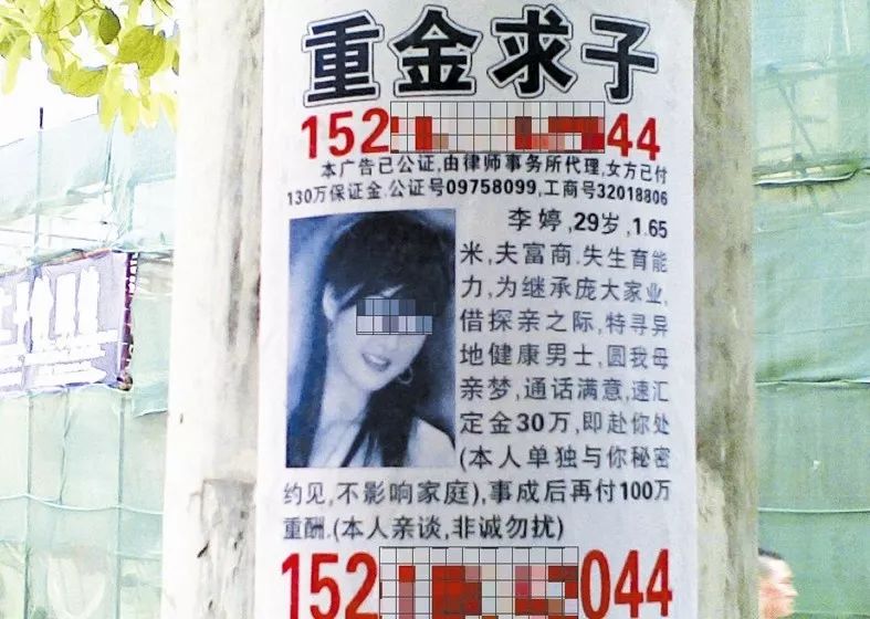 最新重金求子号码揭秘，寻找内心平静的冒险之旅