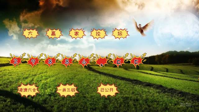 新澳门彩4949最新开奖记录,精准数据评估_UTM49.248媒体版