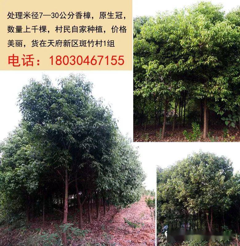 印刷环评 第136页