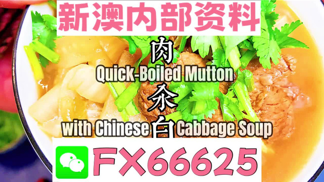 管家婆一码一肖最准资料最完整,专业地调查详解_JKO49.938效率版