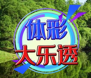关于彩票最新官网版的犯罪与合法性探讨