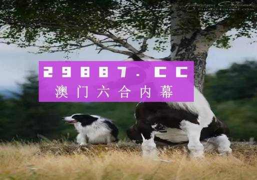 跑狗图555436www跑狗网,现代化解析定义_XOS49.398硬件版