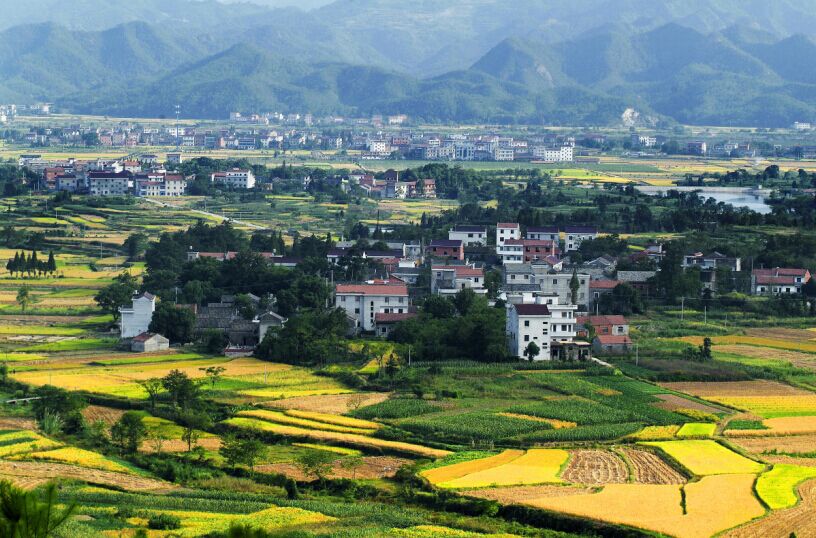 天台平桥镇最新规划揭秘，未来发展蓝图与规划亮点