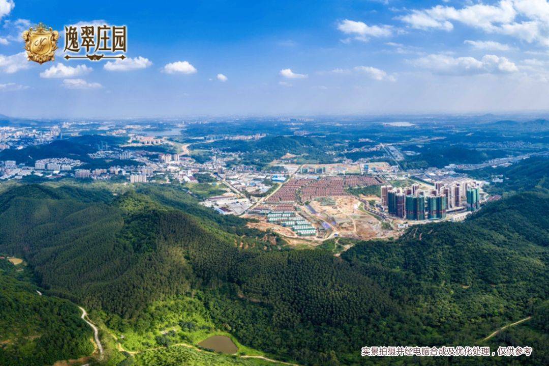 增城潘共恩的最新动态，励志故事照亮希望之路