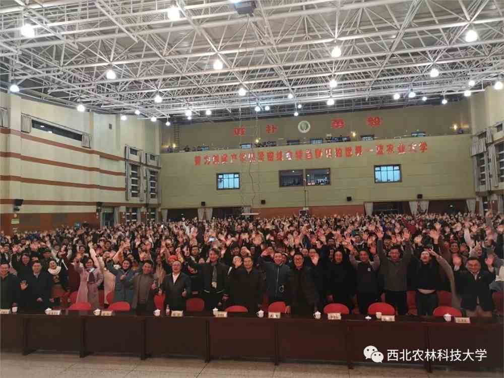 西北农大最新动态，小巷深处的独特风味