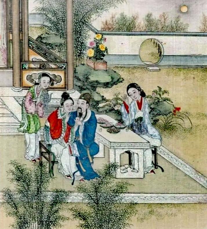 古典与现代交融，最新薛宝钗扮演者的完美演绎🌸