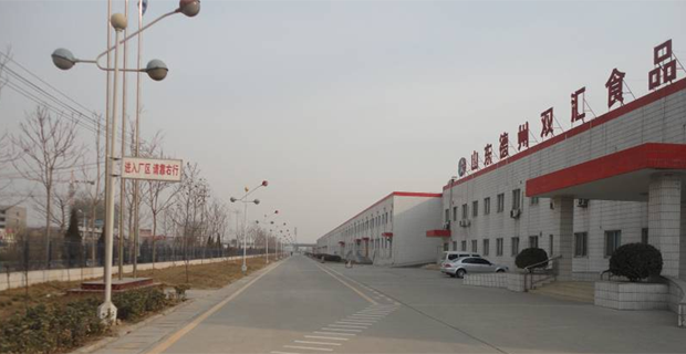 德州双汇最新招聘信息，开启职业新篇章，拥抱学习与变化的力量