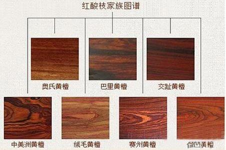 大红酸枝最新价格揭秘，宝藏秘密揭晓，2015年市场深度解读