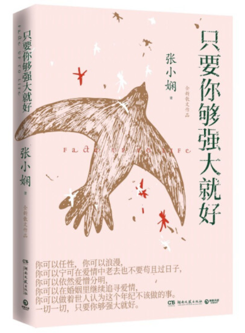 张小娴窦斌最新章节深度解析，人物关系及其影响