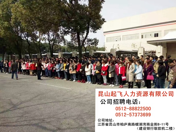 苏州园区电子厂最新招聘信息揭秘，一段关于求职的温馨日常故事