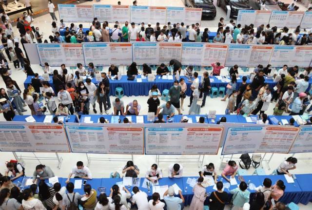 东台人才网最新招聘会盛大开幕，汇聚英才，共筑未来发展之路